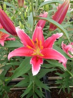 [5350 Kings Cross DJ No02.JPG]